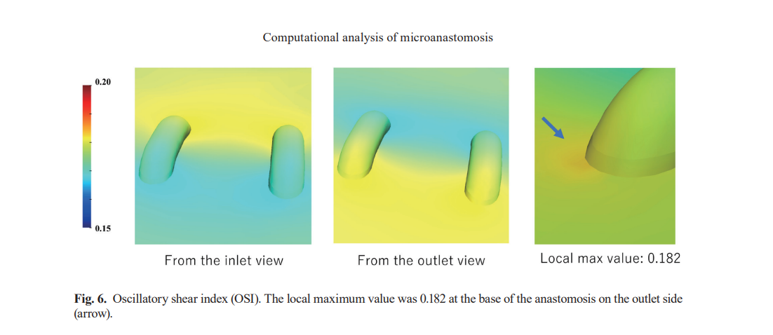 user friendly interface