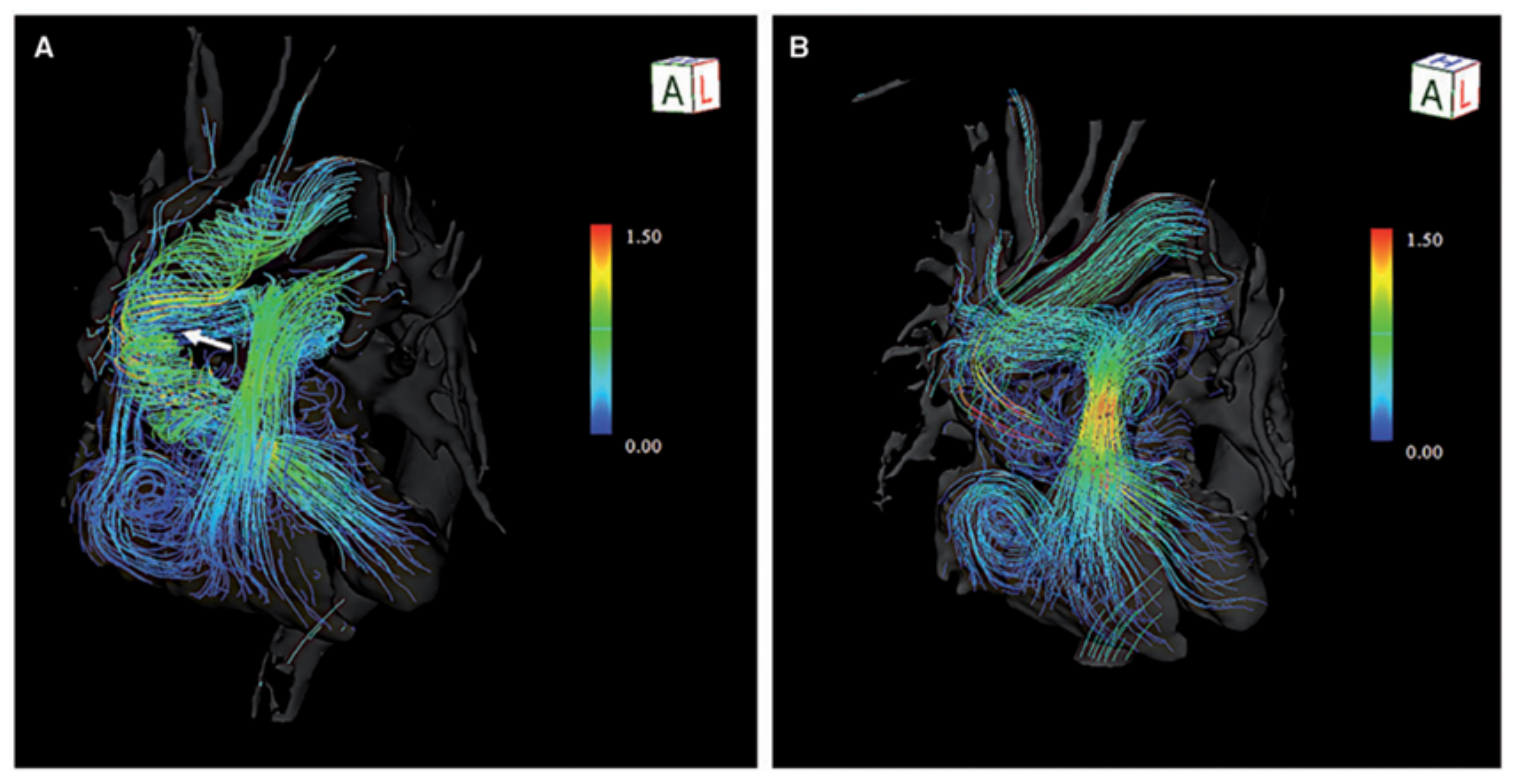 user friendly interface
