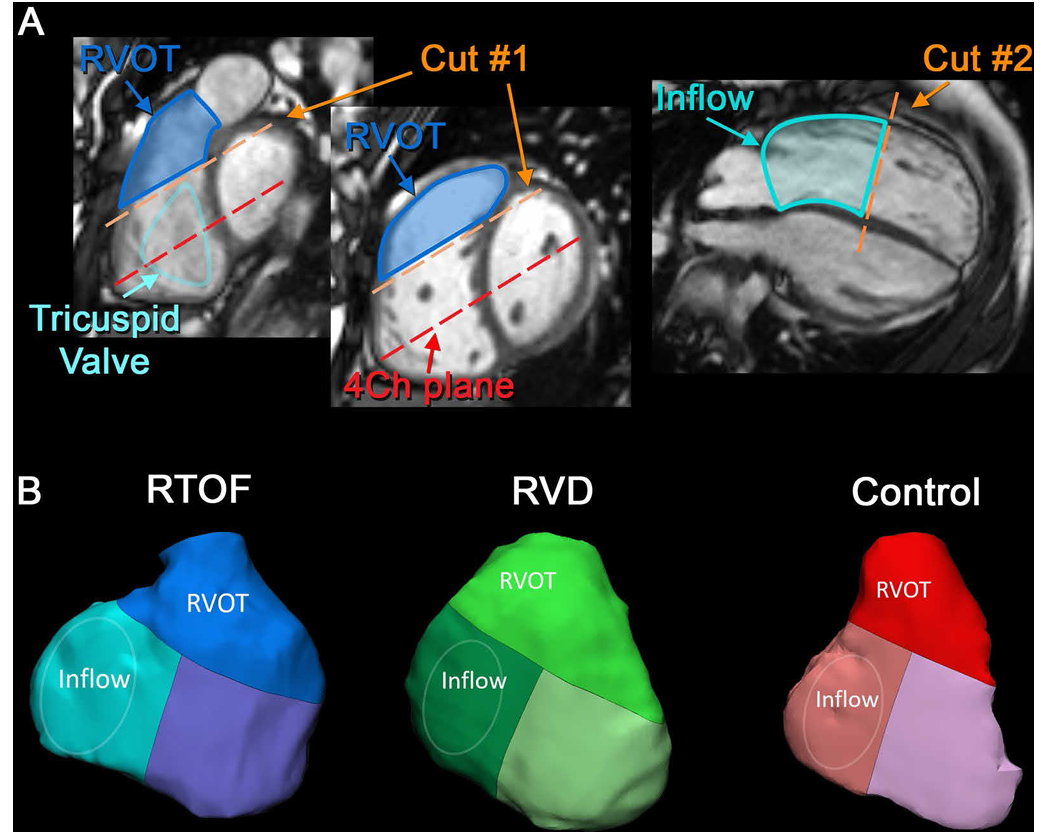 user friendly interface