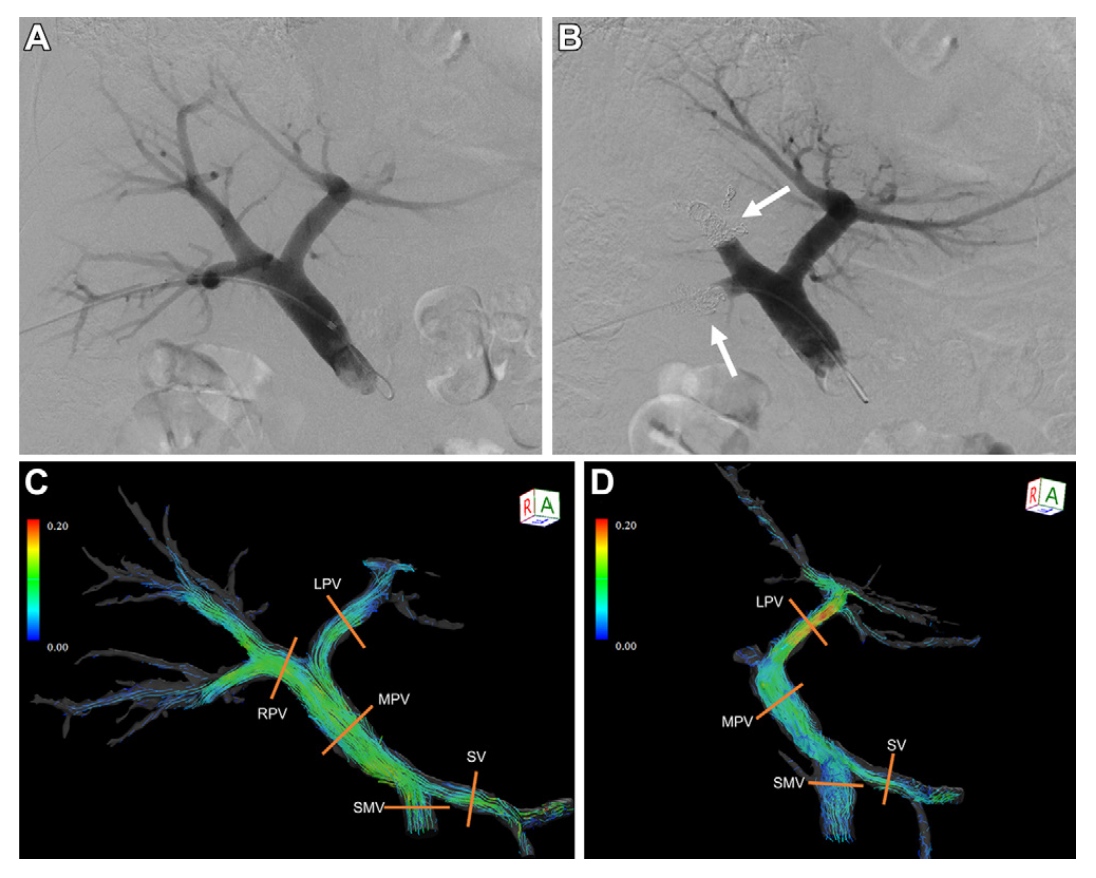 user friendly interface
