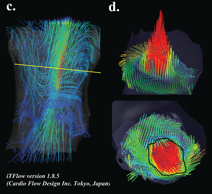 user friendly interface