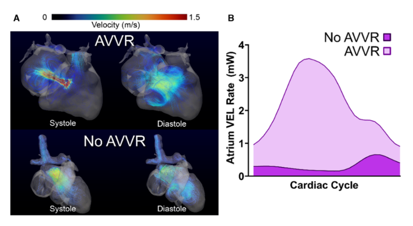 user friendly interface