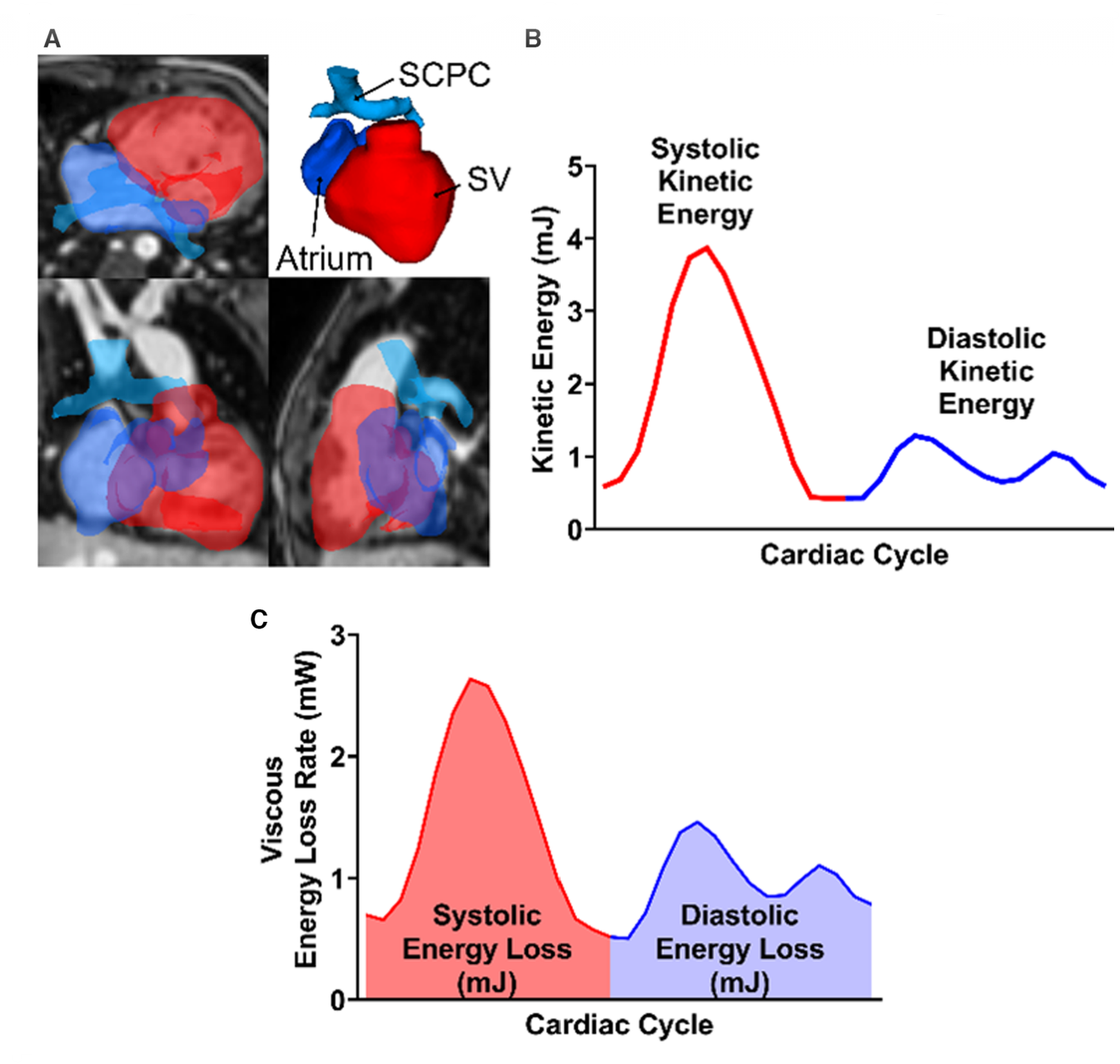 user friendly interface