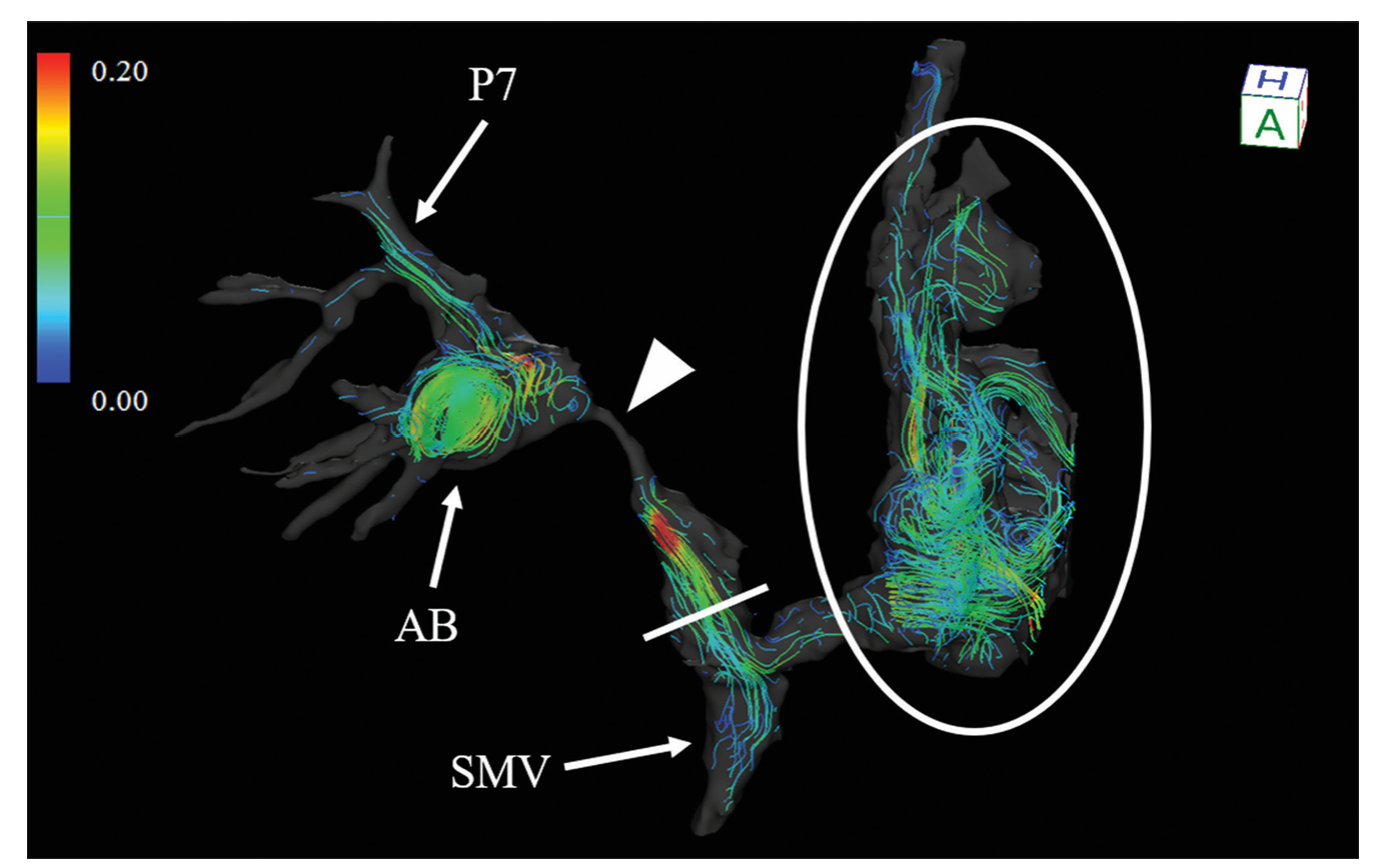 user friendly interface