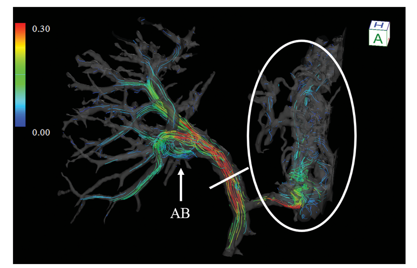 user friendly interface