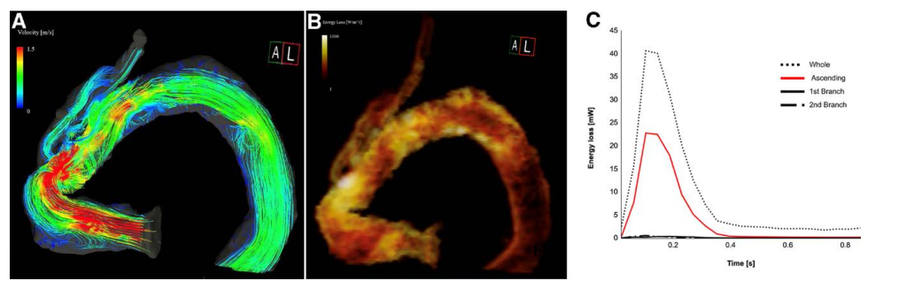 user friendly interface