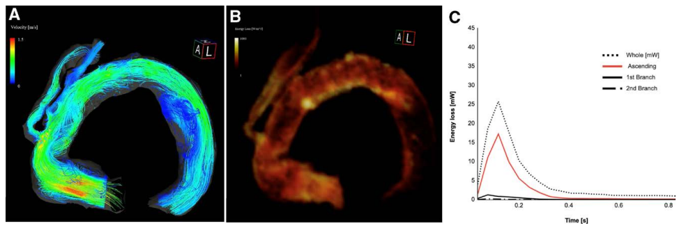 user friendly interface