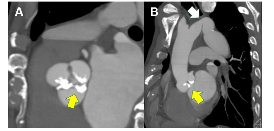 user friendly interface